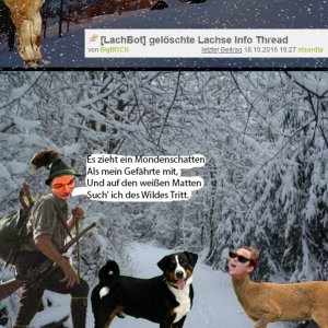 Etzerdlas traurige Wintergschichtne 1