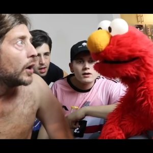 Elmo geht es gut