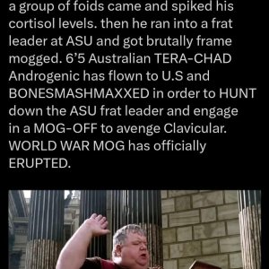 WhatsApp Image 2026-02-16 at 19.34.22.jpeg