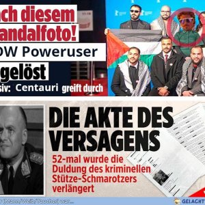 Bild berichtet