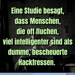 Wisst ihr Bescheid, ihr dummen Hurensöhne!