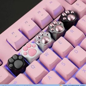 Keyboard eines unbekannten RDWlers