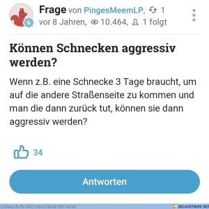 Absichtliche Provokation