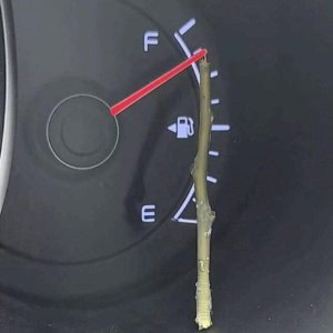 Nie wieder leerer Tank