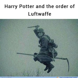 Harald Töpfer und der Orden der Luftwaffe
