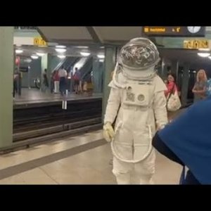 🐻Lin is old but Gold