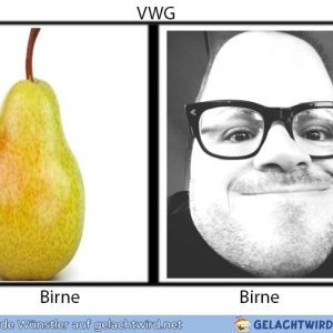 VWG Birne