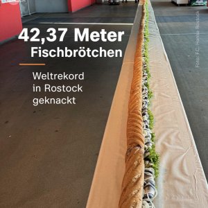 Sie haben WAS aus Timmy gemacht?!