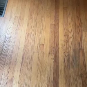 Wie Formel-1-Strecken gestaltet werden