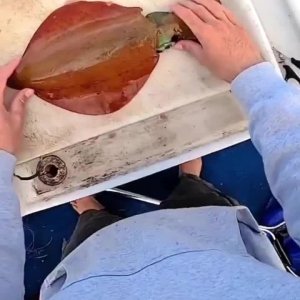 Man kann es ja mal versuchen