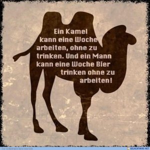 Gestern war Tag des Bieres