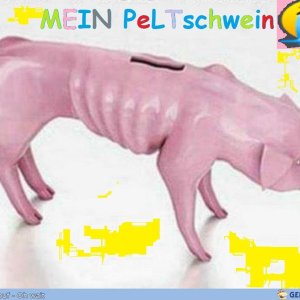nein nein nein mein PeLTschwein