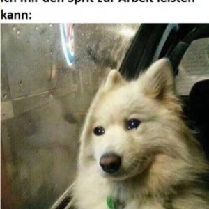 Hundi abaided a weng