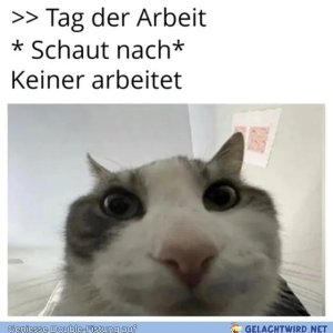 Aus aktuellem Anlass