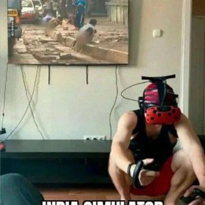 Shitsim