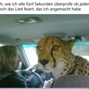 Gefällts euch?