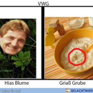 VWG Hias