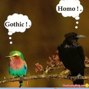 homo-vs-gothic.jpg