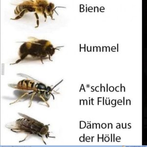 So.