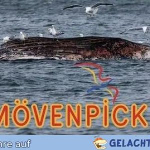 Mövenpick