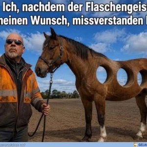 Dschinni Du verdammder Hurenßohn!