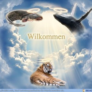 Tiger nun auch dod