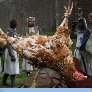 Die Schweine haben Huhn gefangen