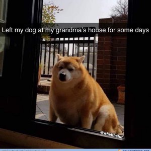lel der hunt