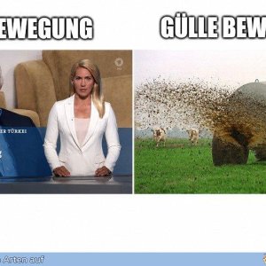 Verwüchslüngsgefethullah