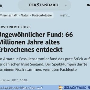 Bernstein mit Bröckchen