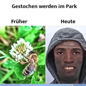 Früher und heute