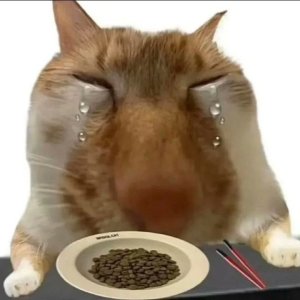 No Surprises by Radiohead covered by a cat
