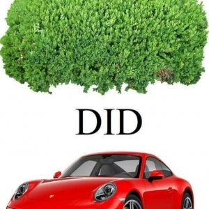 Bilderrätsel