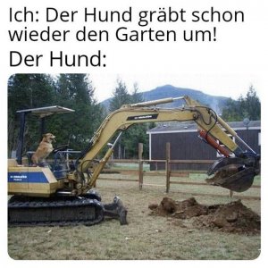 lol der Hunt