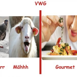 Für mehr VWGs