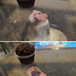 Hmm das schmeckt