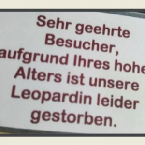Der Anblick war nicht zu ertragen