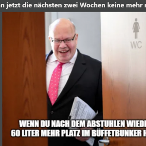 Altmaier-Memes beste Memes