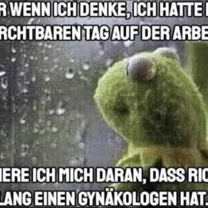 So eine arme Sau
