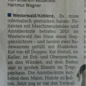 Endlich mal normale Leute