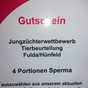 Geil