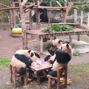 Mahlzeit!