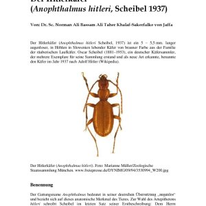 Käferfus Adolfus Hitleri