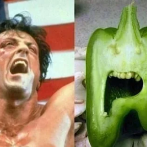 Stallone