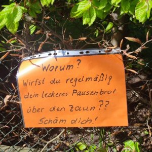 Ja schäm dich