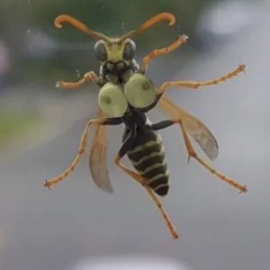 Geil!