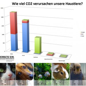 Haustierverbrauch