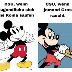 Vollidioten