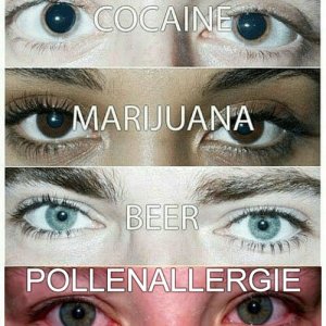FAK ALTER