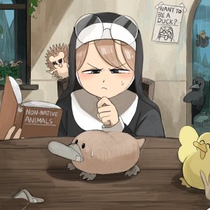Schnabeltiernonne